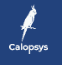 CALOPSYS